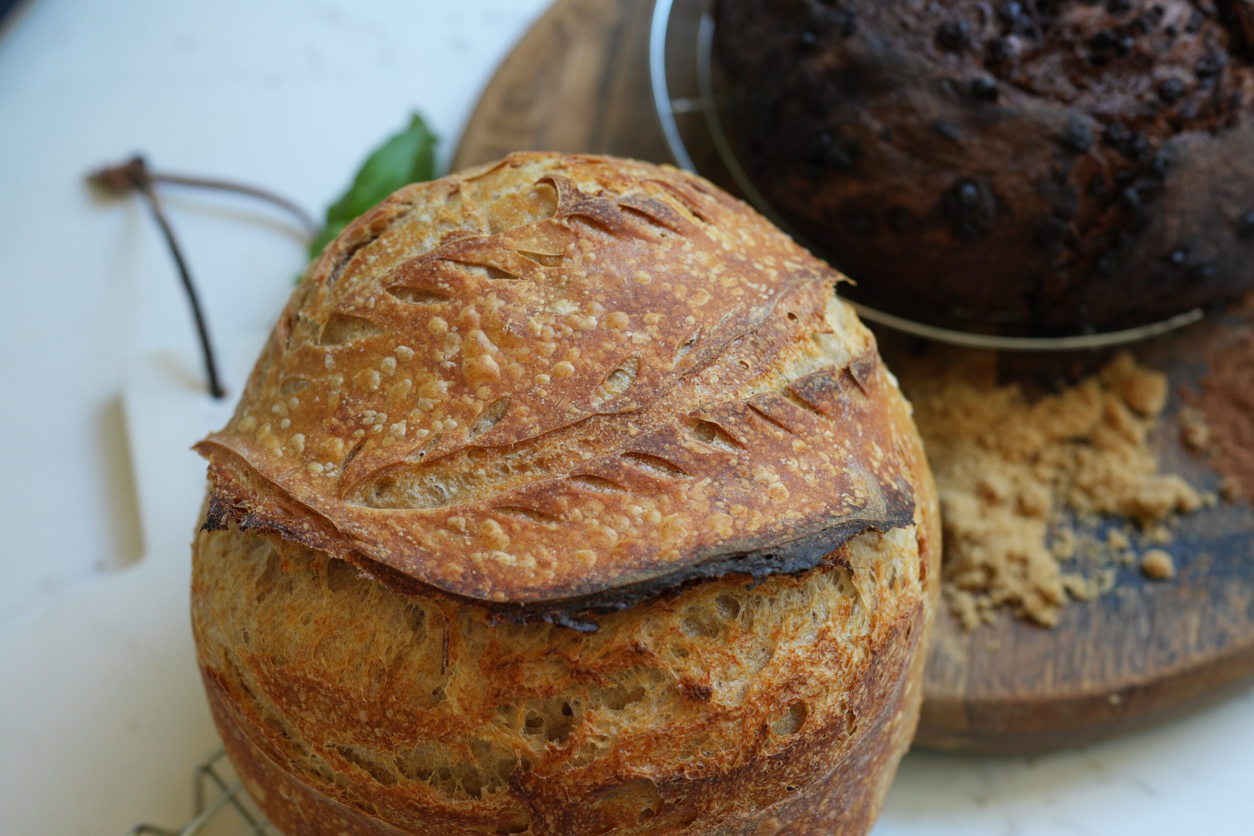 A golden, crusty sourdough loaf in the foreground with a chocolate chip sourdough bread loaf in the background, both resting on a white countertop