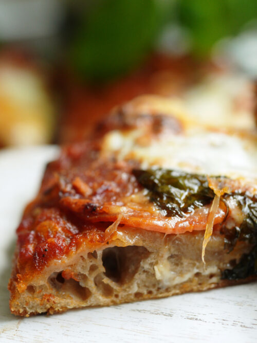 Bubbly sourdough pizza crust with golden airy edges.