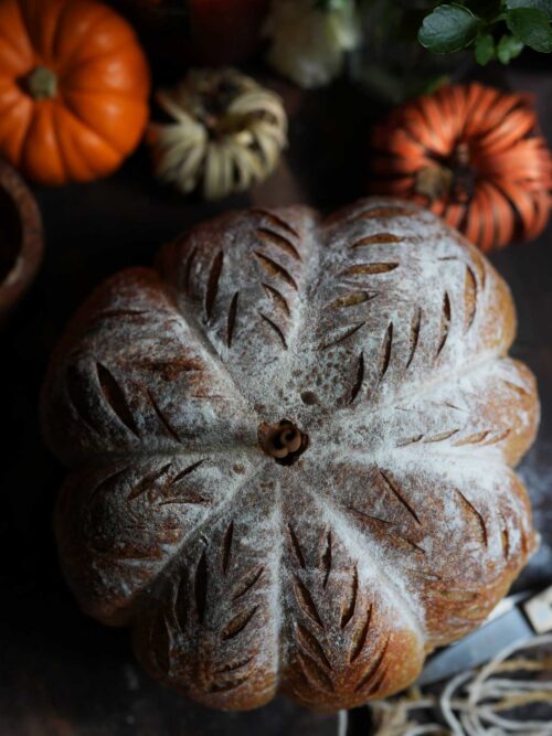 Golden pumpkin-shaped sourdough bread with a leaf-scored crust, surrounded by cozy autumn pumpkins and rustic fall tones