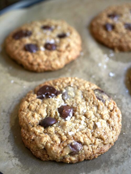 Close-up of chewy sourdough oatmeal dark chocolate cookies sprinkled with flaky sea salt on parchment paper.